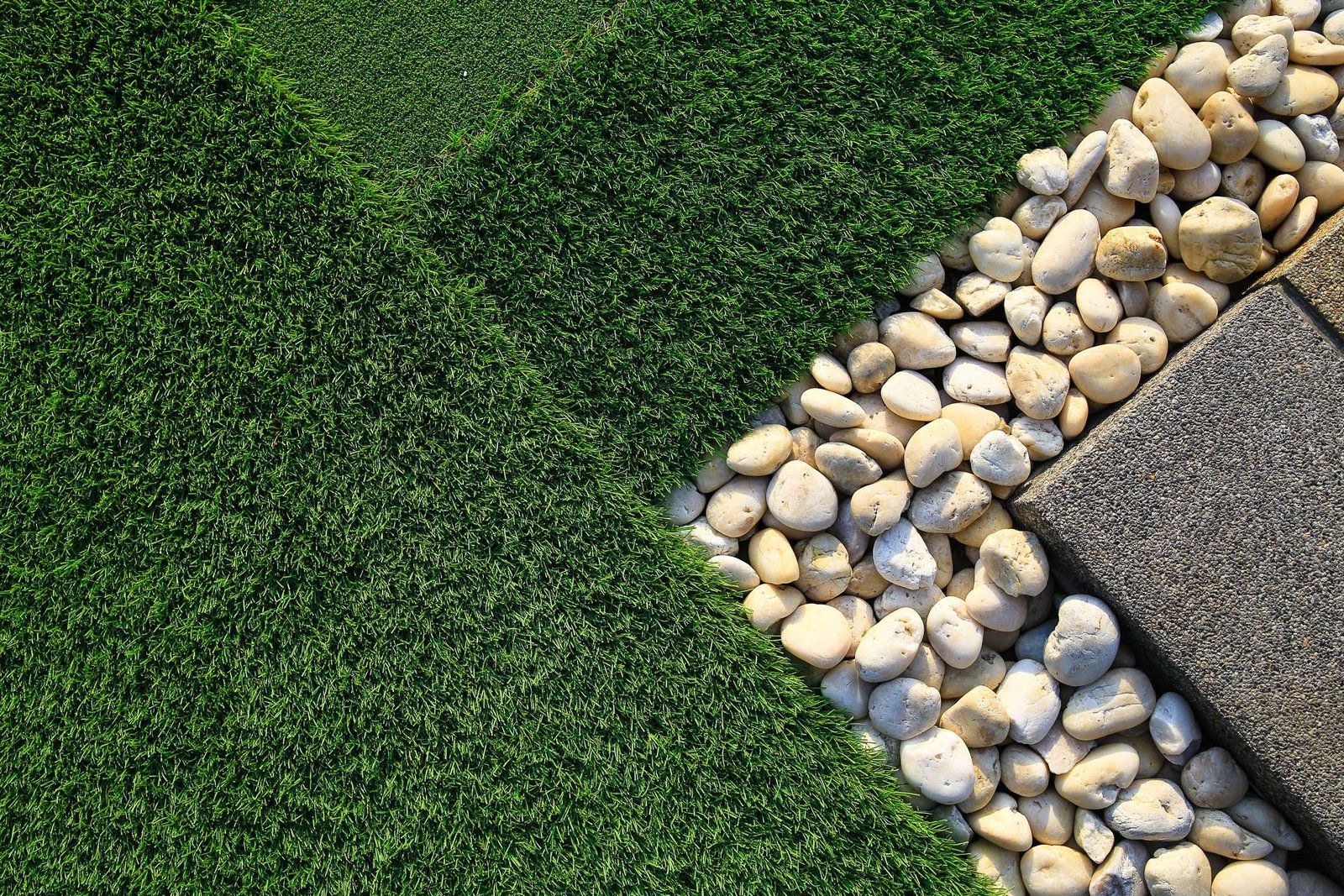 Pet-friendly artificial turf Jacksonville